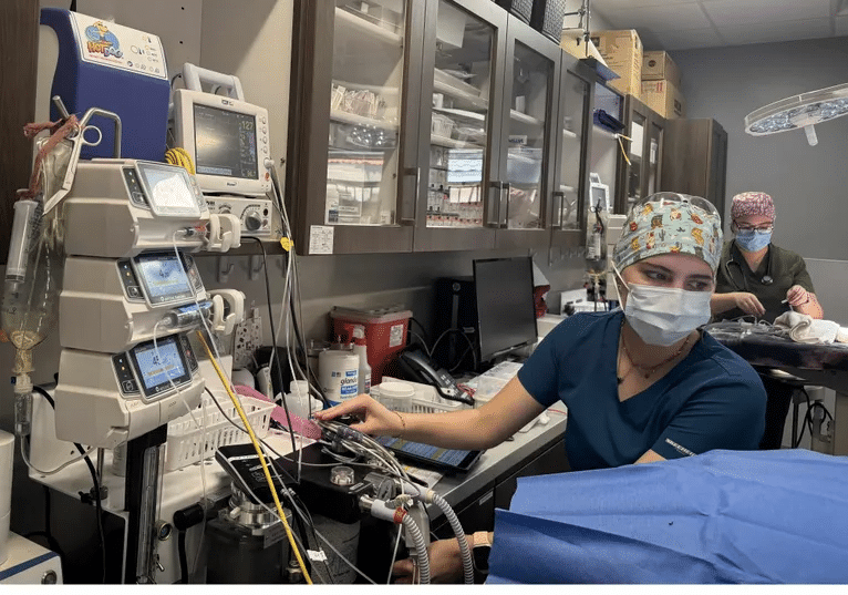 Laser Pain Management