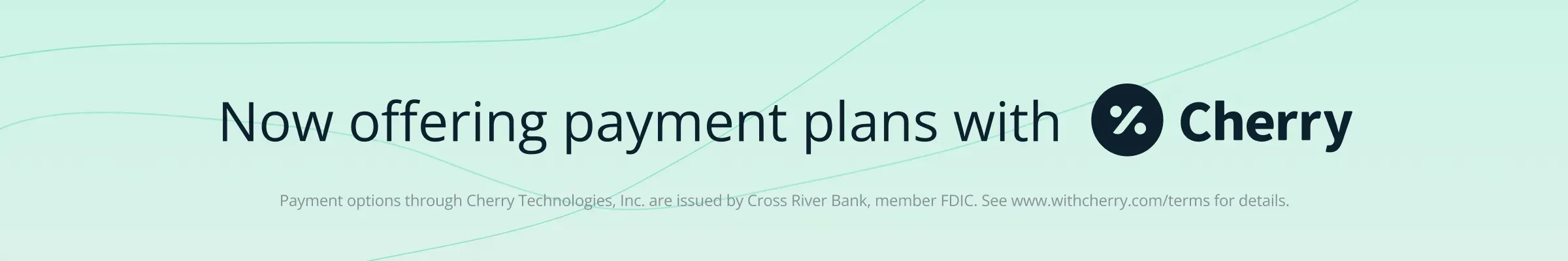 payment informations Payment Options