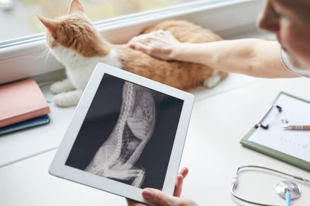Digital Radiography