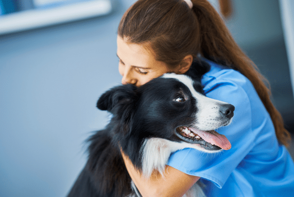 Spaying & Neutering