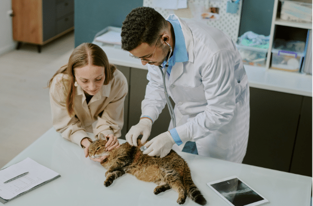 Cryosurgery
