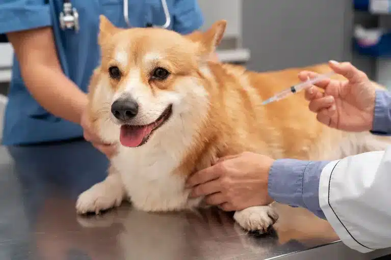 PRP Injections
