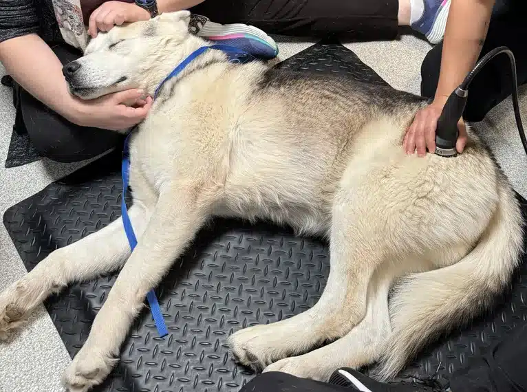 Shock wave .jpg Shockwave Therapy