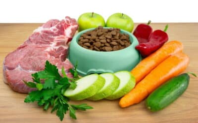 Raw Diets For Dogs & Cats